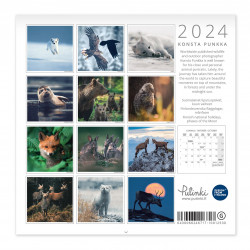 Konsta Punka 2024 Mini Wall Calendar Putinki 20 x 20 cm