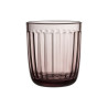 Raami Tumbler 0.26 L Caluna Kanerva 2 pcs Iittala
