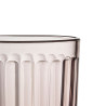 Raami Tumbler 0.26 L Caluna Kanerva 2 pcs Iittala