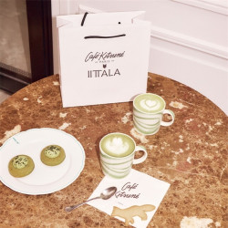 Teema Mug 0.3 L  Matcha Cafe Kitsume Iittala