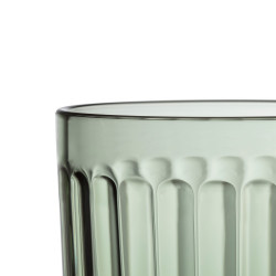 Raami Tumbler 0.26 L Pine Green 2 pcs Iittala