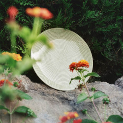 Arabia 24h Plate 26 cm Avec Green