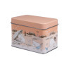 Moomin Beach Trip Tea Tin Box Orange