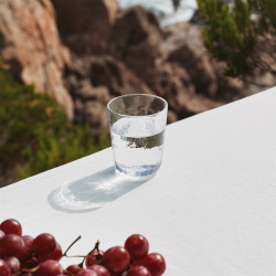 Arabia Mainio Stemmed Glasses Clear 0.3 L Set of 2