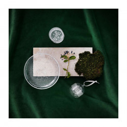 Ultima Thule Plate Clear 25 cm Iittala