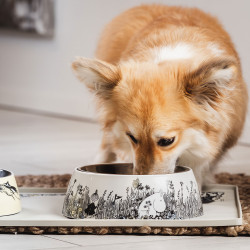 Moomin for Pets Food Bowl L Grey 22 cm