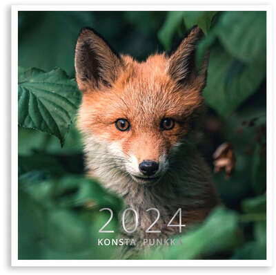 Konsta Punka 2024 Mini Wall Calendar Putinki 20 x 20 cm