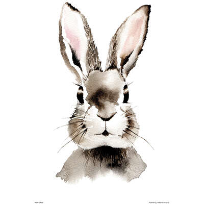 Henna Adel Poster 24 x 30 cm Hare