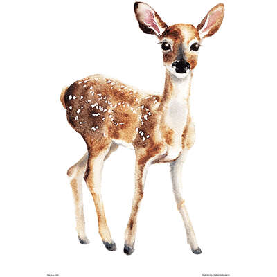 Henna Adel Poster 24 x 30 cm Deer